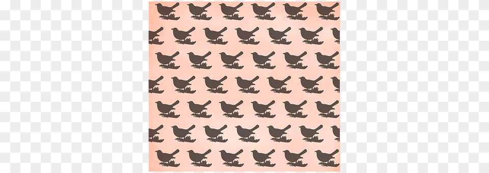 Birds Home Decor, Rug, Animal, Bird Free Transparent Png