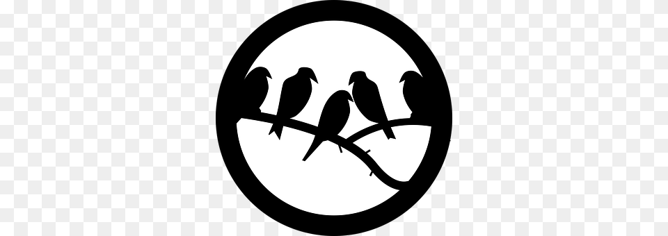 Birds Silhouette, Stencil, Animal, Bird Png Image