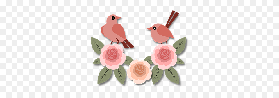Birds Animal, Bird, Art, Floral Design Png Image