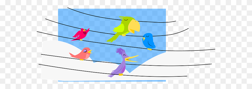 Birds Animal, Bird, Utility Pole Free Transparent Png