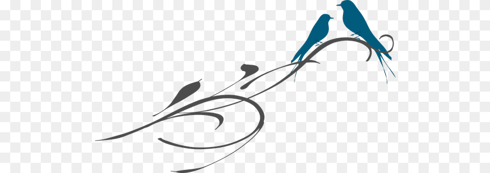 Birds Art, Floral Design, Graphics, Pattern Png Image
