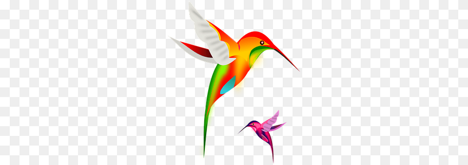 Birds Animal, Bird, Flying, Hummingbird Free Transparent Png
