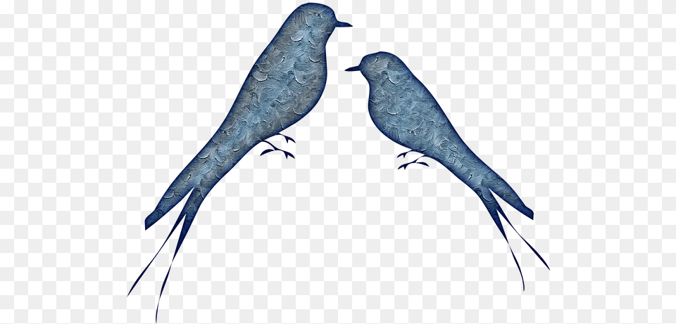 Birds Abstract Pretty Bluebirds Large Resizable Bird, Animal Free Png