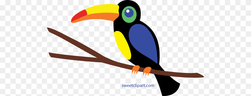 Birds Archives, Animal, Bird, Toucan, Blade Free Png