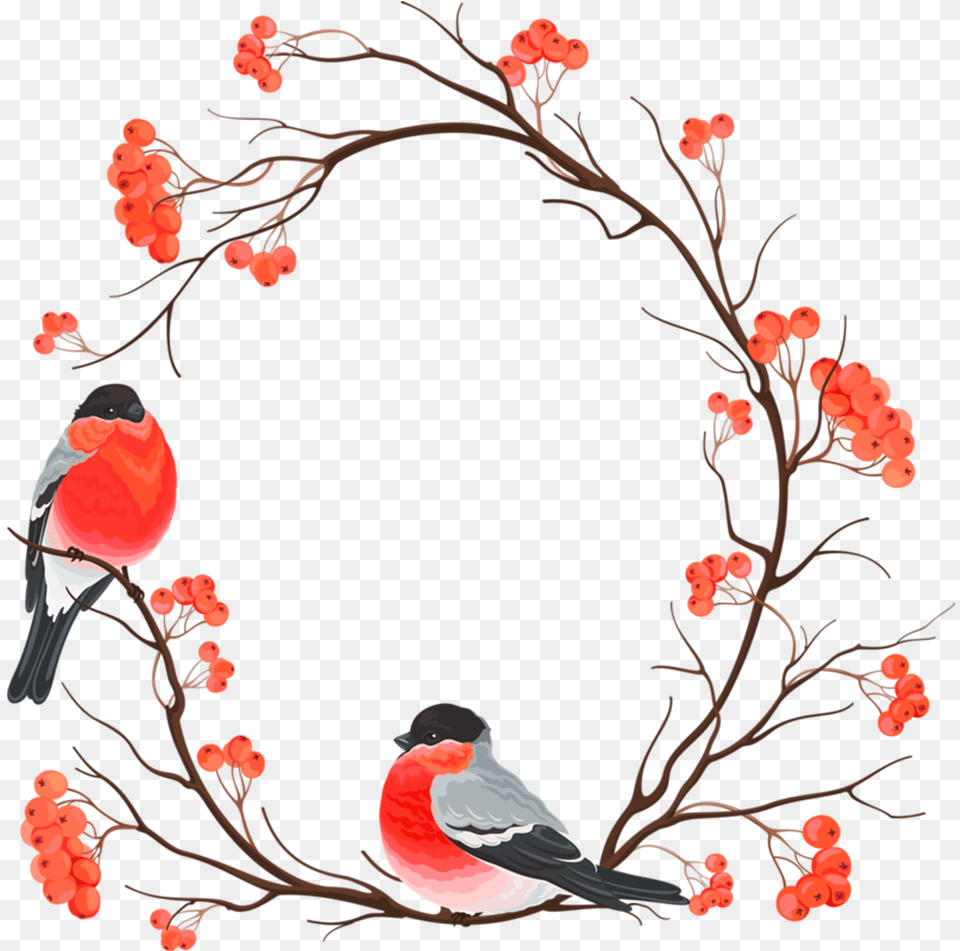 Birds Branches Leaves Fall Autumn Wreath Frame Transparent Bird Border, Animal, Finch, Art, Painting Free Png