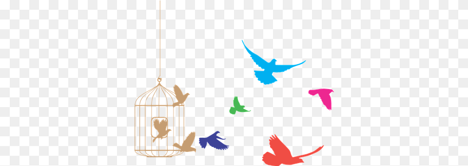 Birds Cage Freedom Product Eps Flock Of Birds Clipart Bird Flying From Cage, Animal, Parakeet, Parrot Free Png Download