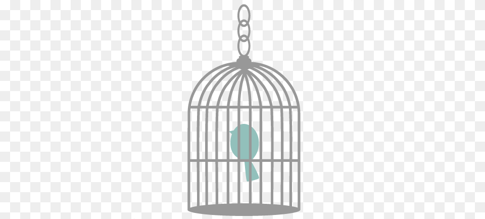 Birds Cage U0026 Clipart Download Ywd 4 Pics 1 Word Level 511 Answer Free Transparent Png