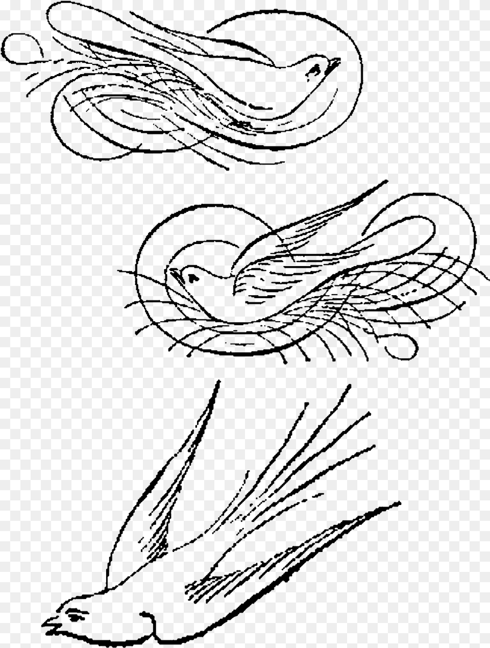 Birds Calligraphy Artwork Drawings Illustrations Downloads Line Art, Gray Free Transparent Png