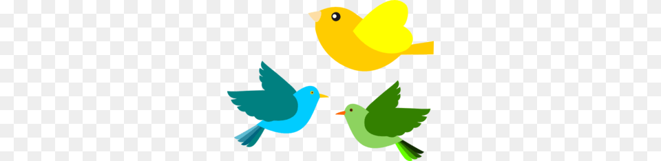 Birds Clip Art, Animal, Bird, Canary Free Transparent Png