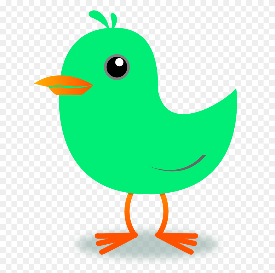 Birds Clip Art, Animal, Beak, Bird Png Image