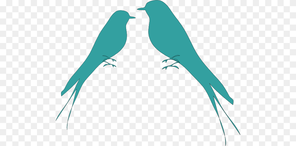 Birds Clip Art For Web, Animal, Bird, Blackbird Free Transparent Png