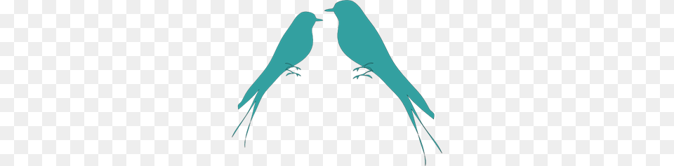 Birds Clip Art For Web, Animal, Bird, Blackbird, Fish Free Png