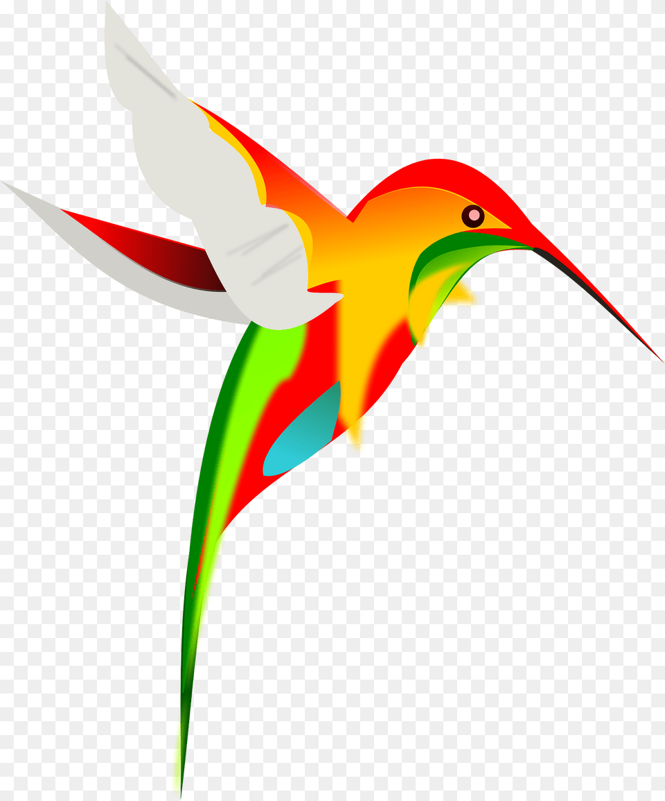 Birds Clipart, Animal, Bird, Hummingbird, Beak Png Image