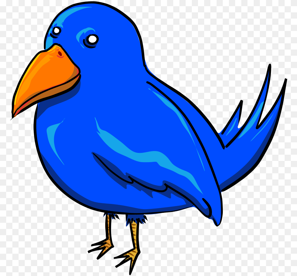 Birds Clipart, Animal, Beak, Bird Free Png Download