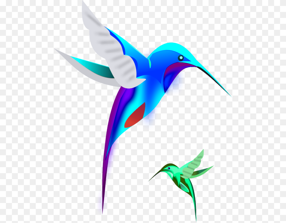 Birds Clipart, Animal, Bird, Flying, Hummingbird Png