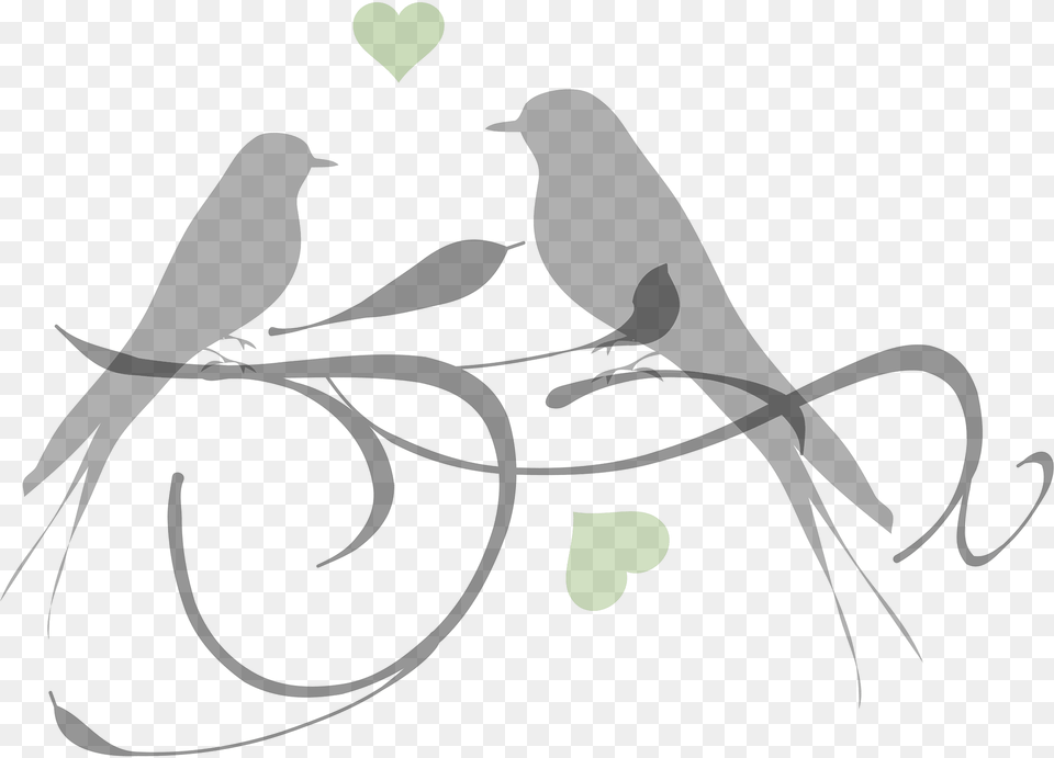 Birds Clipart, Animal, Bird, Blackbird, Swallow Png