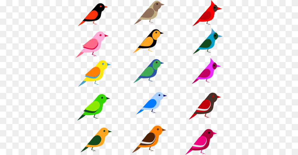Birds Clipart, Animal, Bird Free Transparent Png