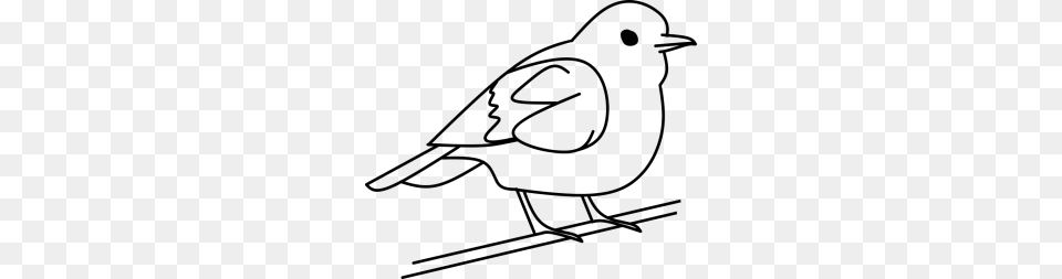 Birds Clipart Black And White Bird Tree Out Line Vector, Gray Free Png