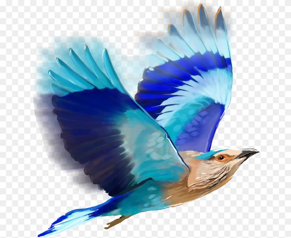 Birds Editing Clip Art Library Editing Birds Hd, Animal, Bird, Jay, Bluebird Png Image