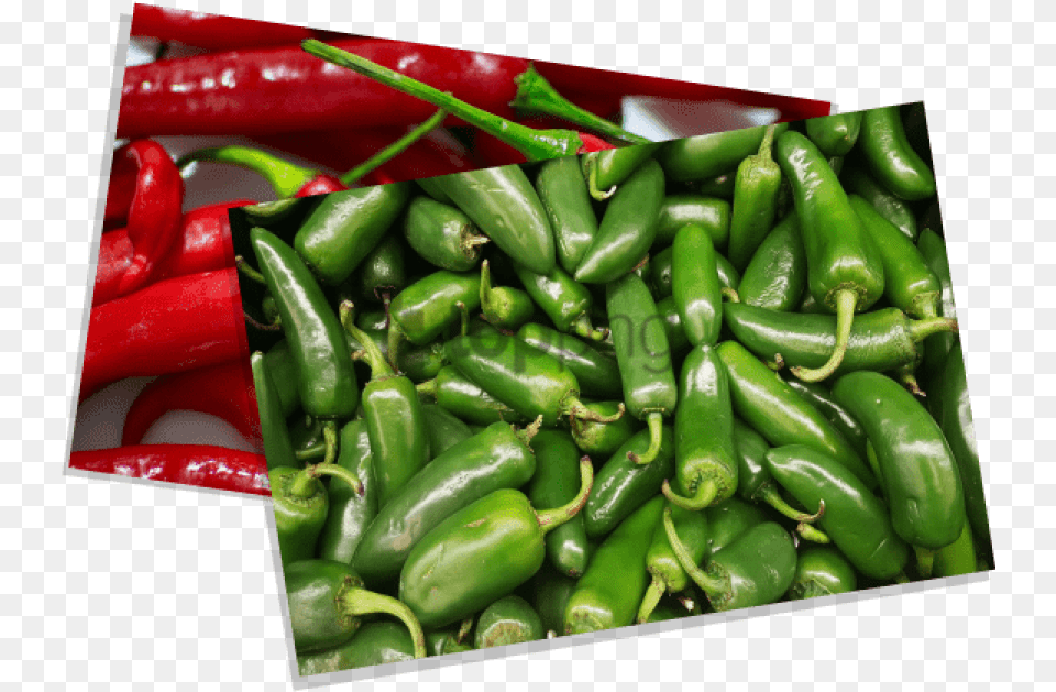 Birds Eye Chili With No Chile, Bell Pepper, Food, Pepper, Plant Png
