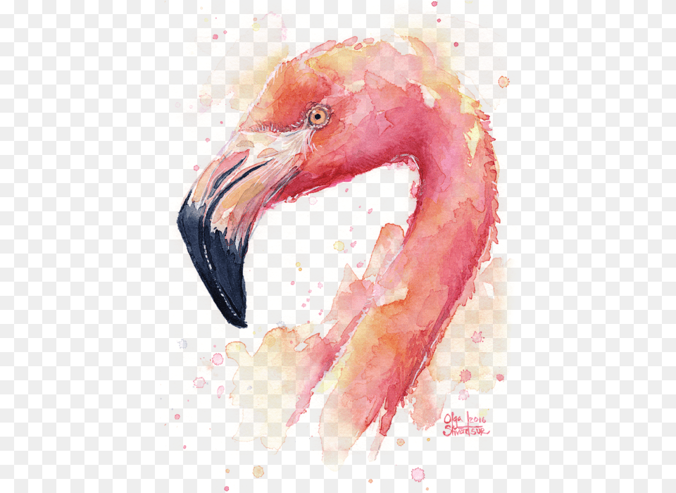 Birds Flamingo Watercolor Painting Transparent Flamingo Watercolor, Animal, Beak, Bird, Art Free Png Download