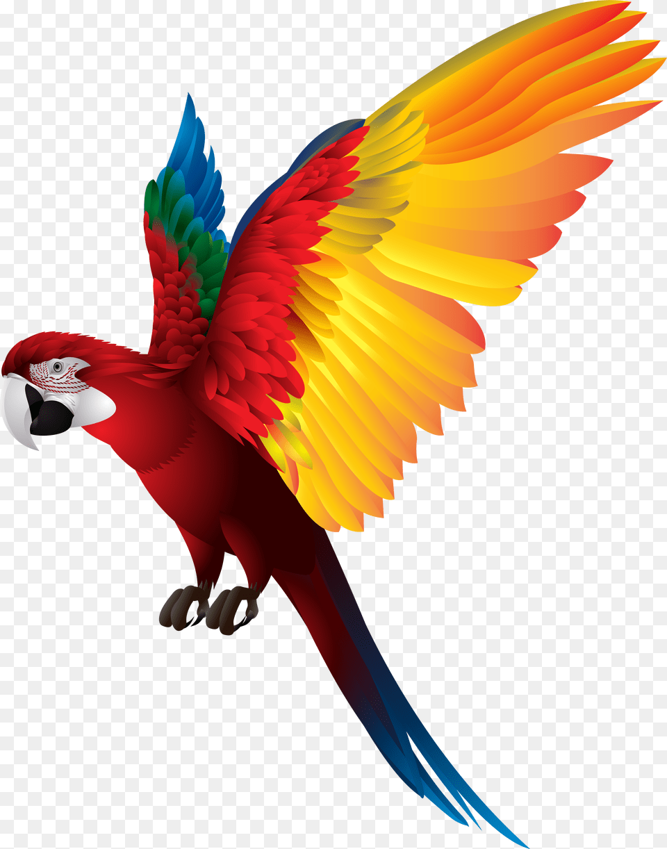 Birds Flying Free Transparent Png