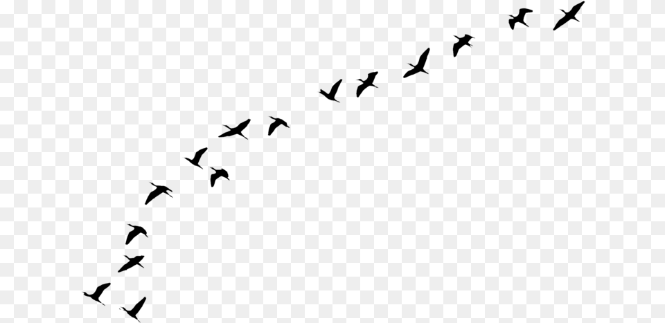 Birds Flying Away Tattoo Tumb Birds Flying Away, Gray Free Transparent Png