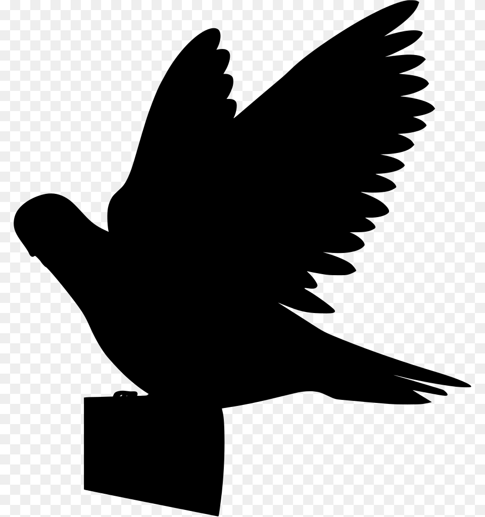 Birds Flying Clipart, Gray Free Transparent Png