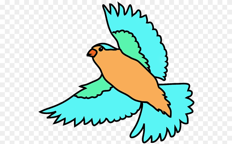 Birds Flying Drawing Colorful Birds Fly Clip Art, Animal, Bird, Baby, Person Free Transparent Png