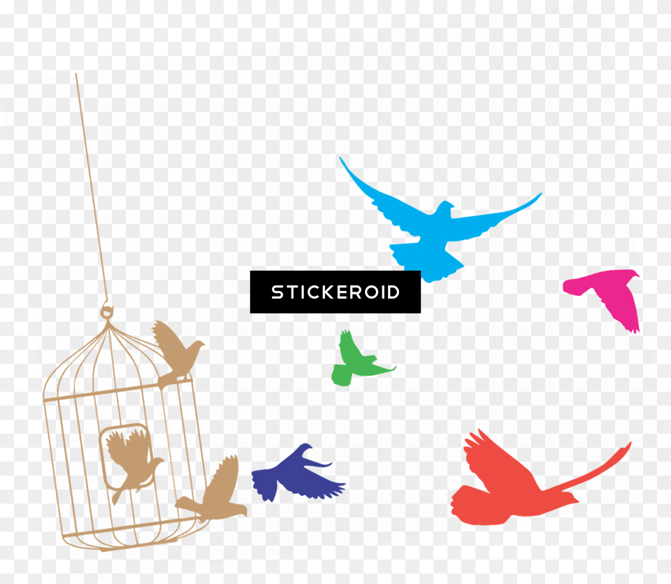 Birds Flying From Cage Cage, Animal, Bird Png
