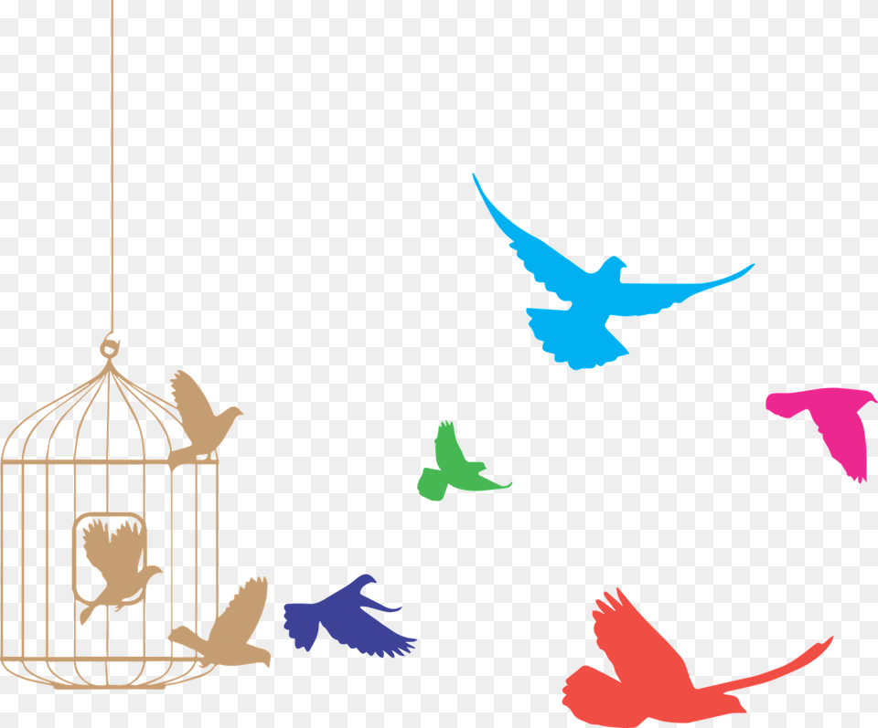 Birds Flying From Cage Clipart, Animal, Fish, Sea Life, Shark Free Png