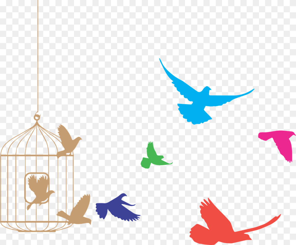 Birds Flying From Cage Clipart Birds Flying Out Of Cage, Animal, Fish, Sea Life, Shark Free Png Download