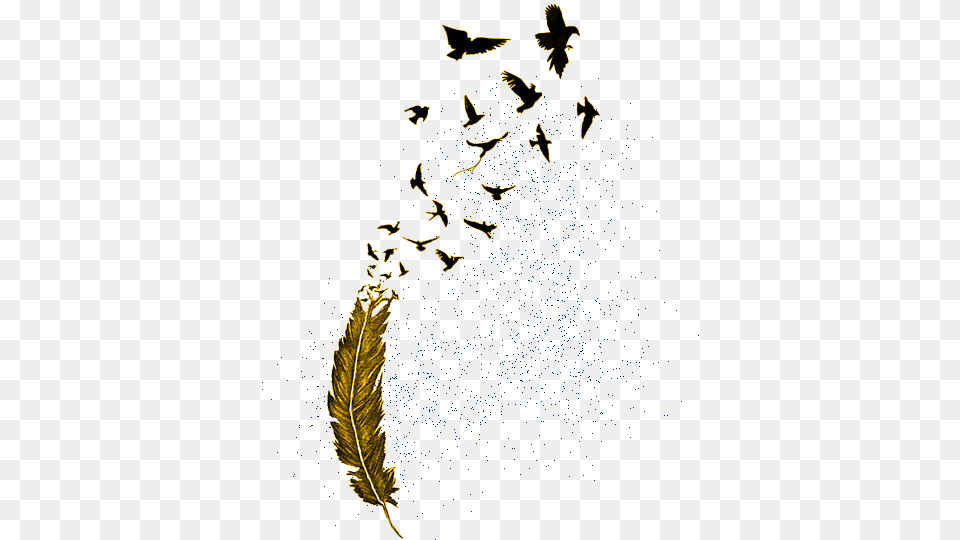 Birds Flying From Feather, Animal, Bird Png