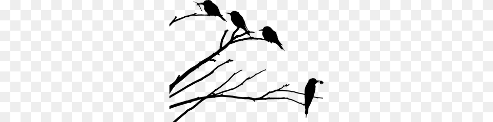 Birds Free Clipart, Gray Png