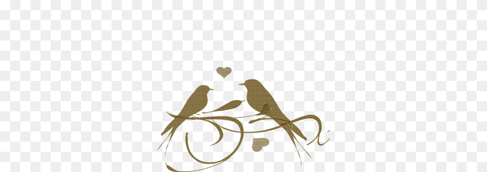 Birds Gold Animal, Clothing, Footwear, Shoe Png