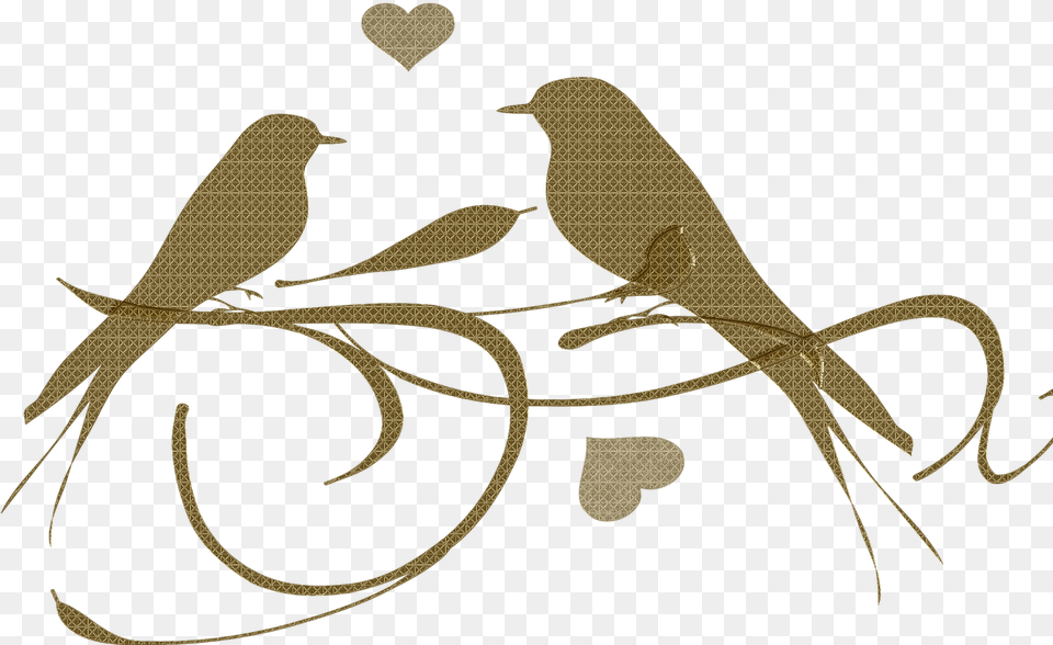 Birds Gold Abstract Branch Swirl Photo Birds Nest Clipart Black And White, Animal, Bird Png