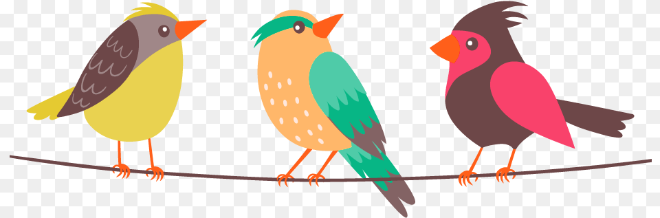 Birds Hd Images Stickers Vectors Vector Colorful Birds, Animal, Beak, Bird, Finch Free Png