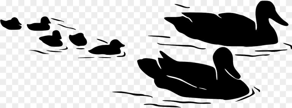 Birds In Water Silhouette, Gray Free Transparent Png