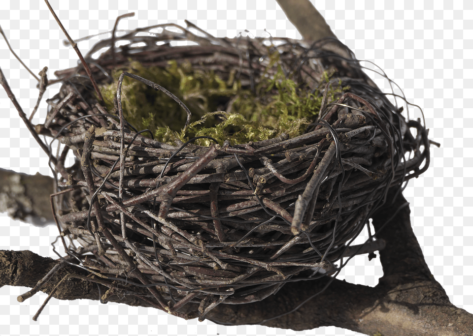 Birds Nest 960 Png Image