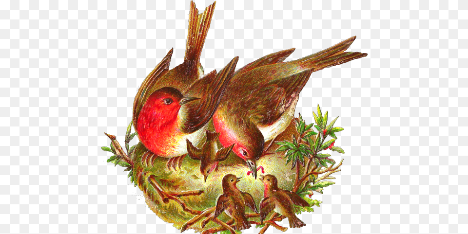 Birds Nest Clipart Victorian Bird Bird With Nest, Animal, Finch Png