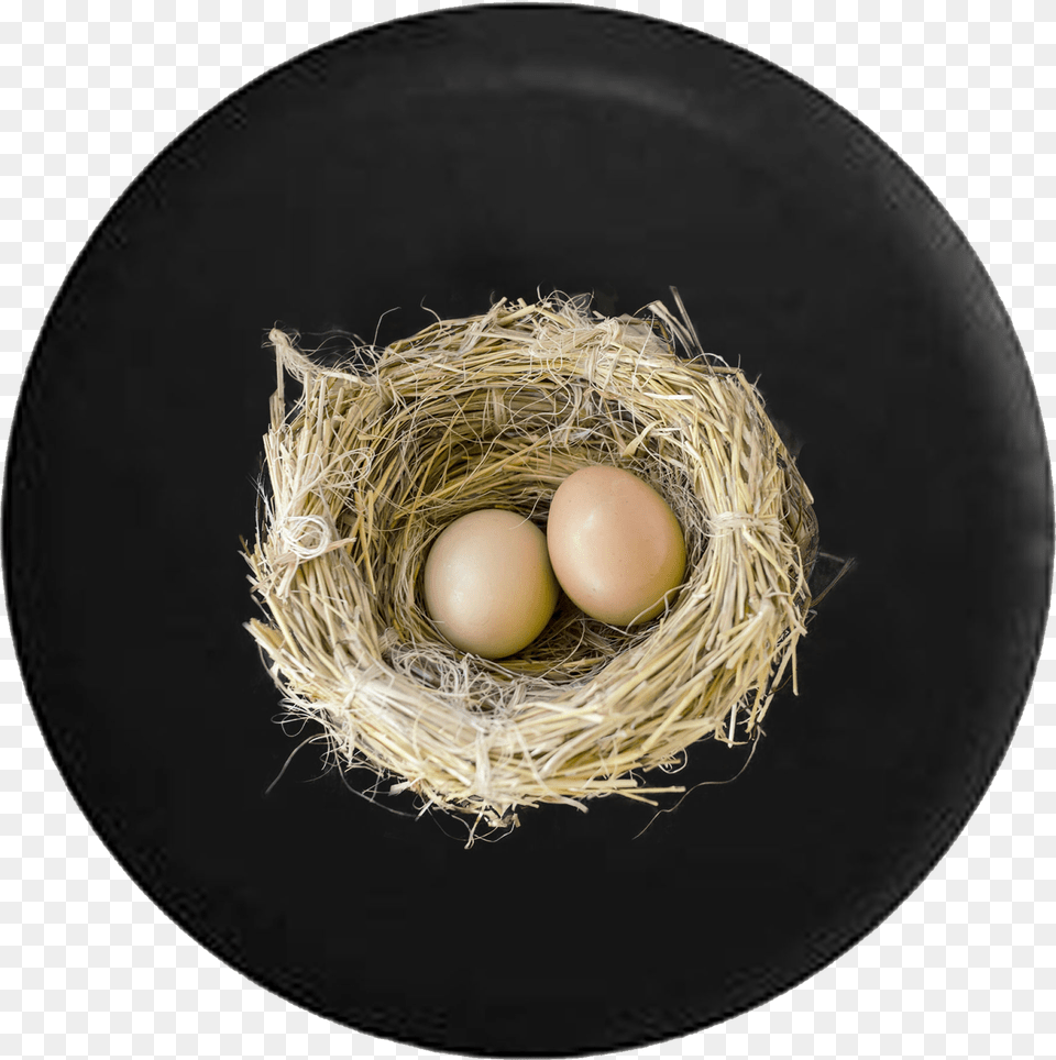 Birds Nest With Baby Bird Eggs Jeep Camper Spare Tire Nest, Egg, Food, Disk Free Png