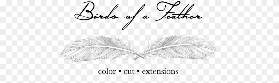 Birds Of A Feather Salon, Art, Drawing, Accessories Free Png