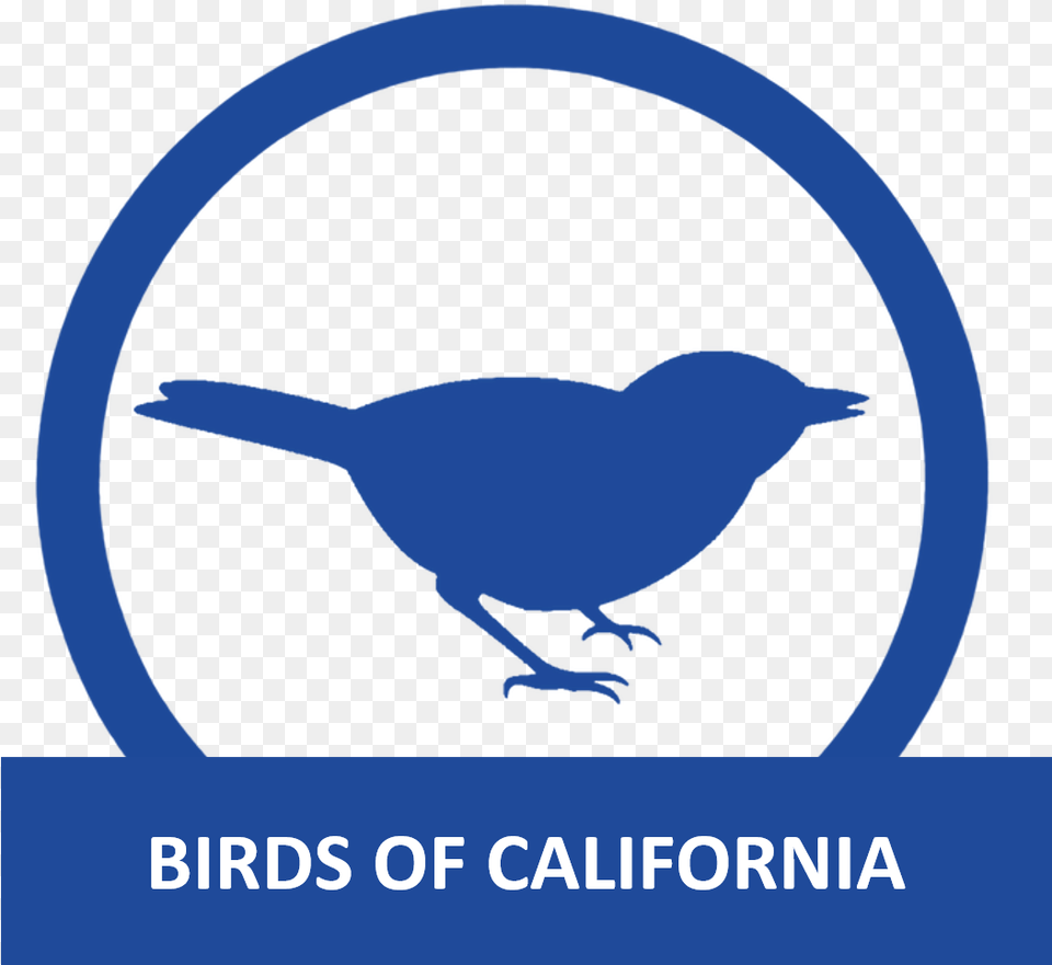 Birds Of California Stickers Animaux, Animal, Bird, Wren, Jay Free Transparent Png