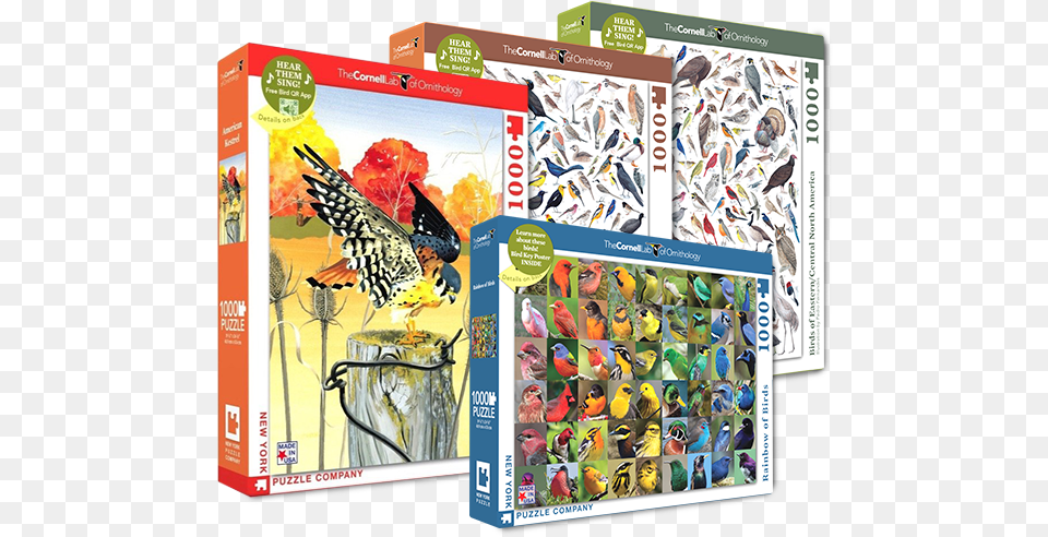 Birds Of North America 1000 Piece Chapter 2 Bird Puzzle, Book, Comics, Publication, Animal Free Png
