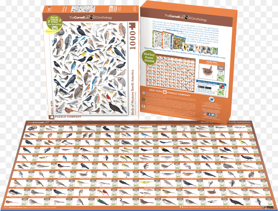 Birds Of North America Puzzles New York Puzzle Company Birds Of Easterncentral North, Advertisement, Poster, Animal, Bird Free Transparent Png