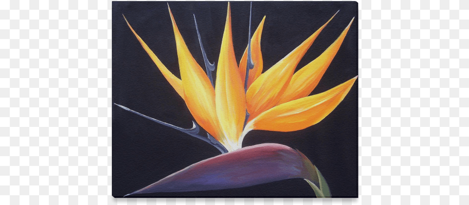 Birds Of Paradise Flower Acrylic On Canvas Painting Modern Art, Plant, Modern Art, Petal Free Transparent Png