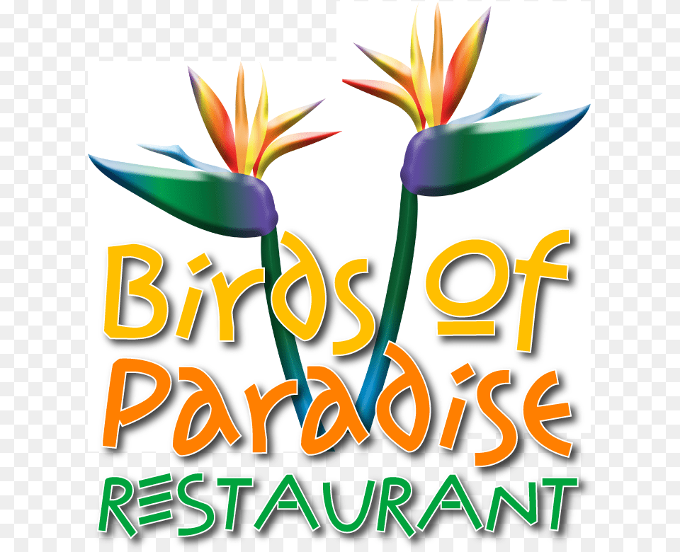 Birds Of Paradise Restaurant Bird Of Paradise, Flower, Plant Png