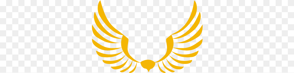 Birds Of Prey In Devon U2013 Westcountry Falconry Flying Bird Logo, Emblem, Symbol Png Image