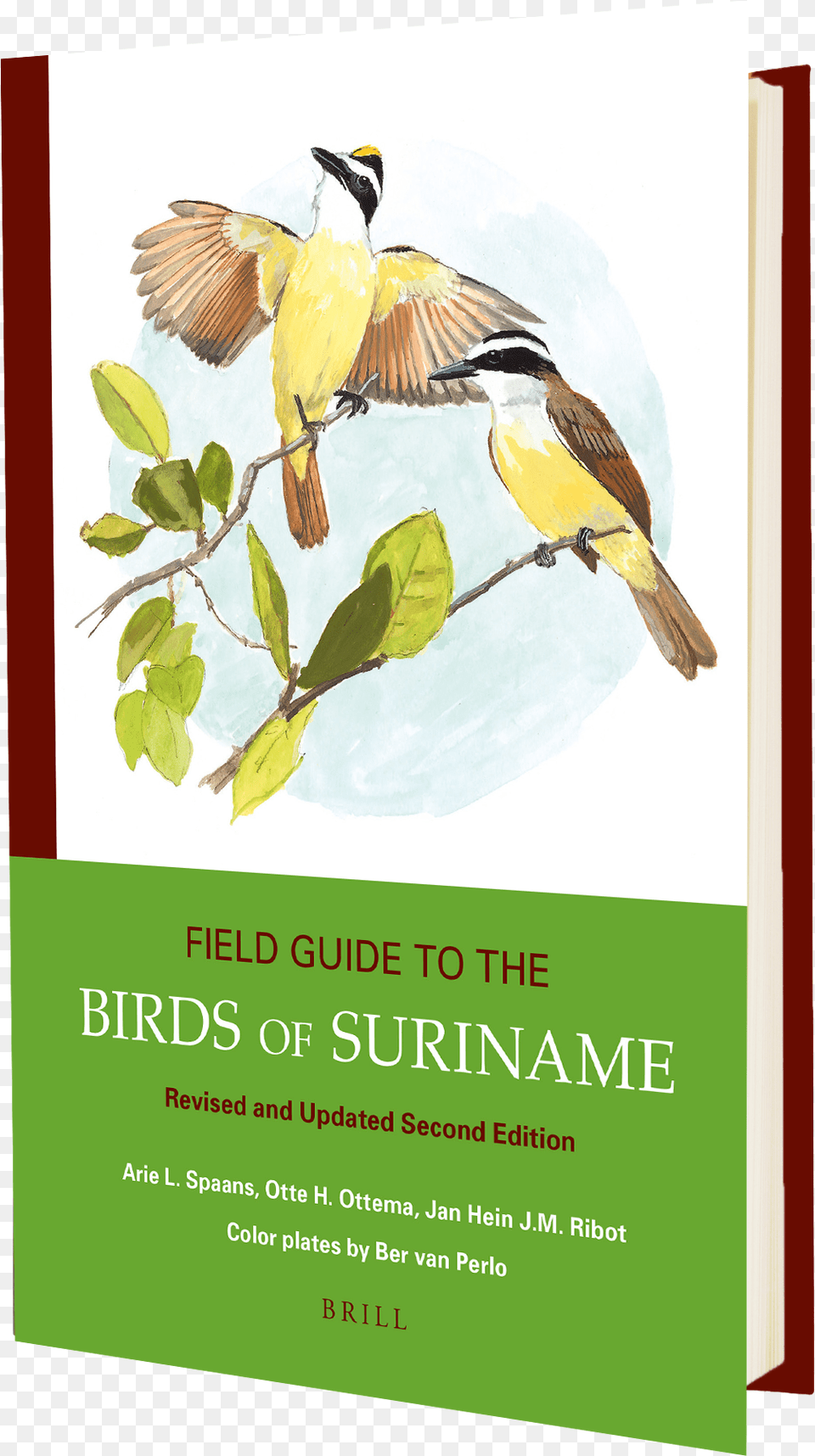 Birds Of Suriname Book, Advertisement, Poster, Animal, Bird Free Transparent Png