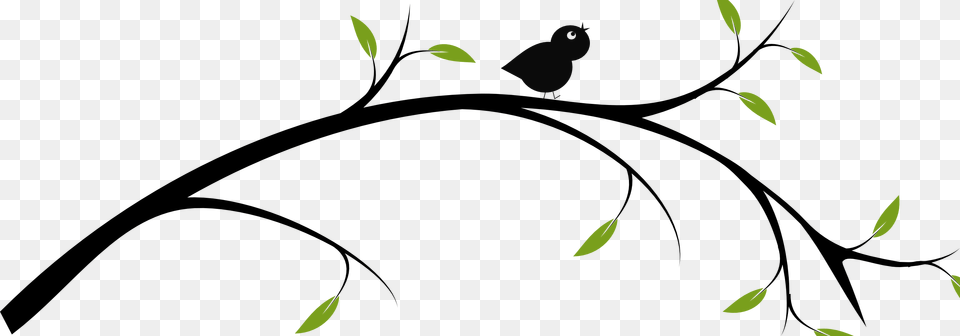 Birds On A Branch Clip Art Easy Tree Branch Drawing, Silhouette, Animal, Bird, Blackbird Free Png